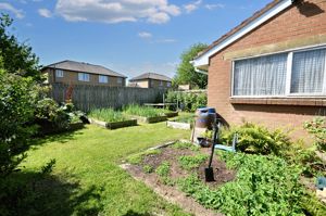 Rear garden- click for photo gallery